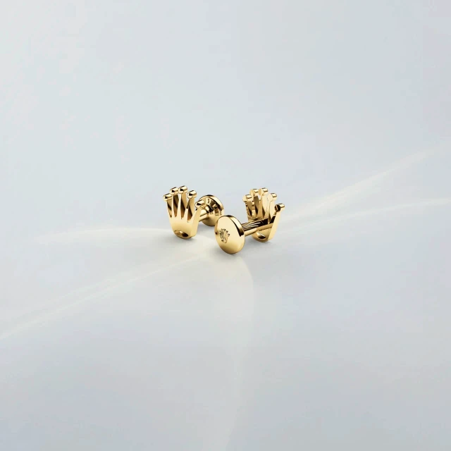  CollezioneAccessori Rolex